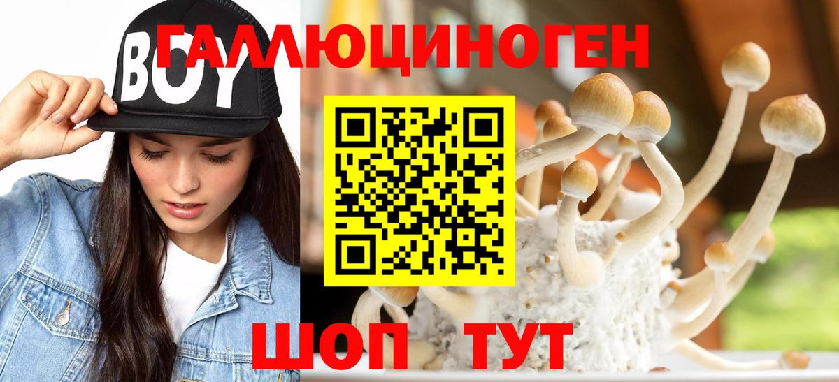 Белорецк  Галлюциногенные грибы MAGIC MUSHROOMS  Вход с VPN  Галлюциногенные грибы мухоморы 